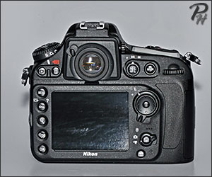 Nikon D800 Back