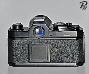 Nikon FM Back