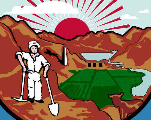 Englarged picture of seal