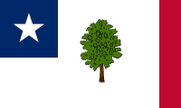 Mississippi flag-1861