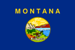 Small Picture of the Montana Flag