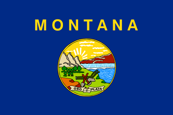 Big Picture of Montana State Flag